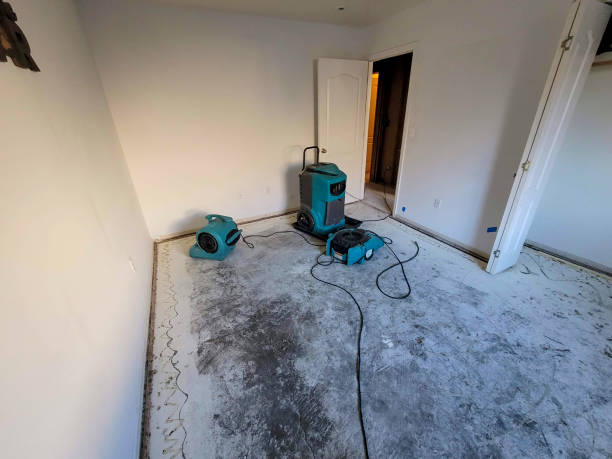 Best Emergency water damage restoration  in Howard, WI
