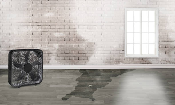 Best Fire Damage Restoration  in Howard, WI