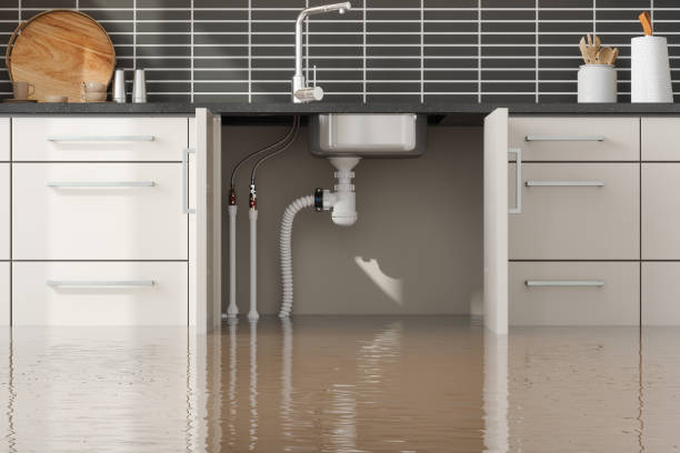 Best Flooded house restoration  in Howard, WI