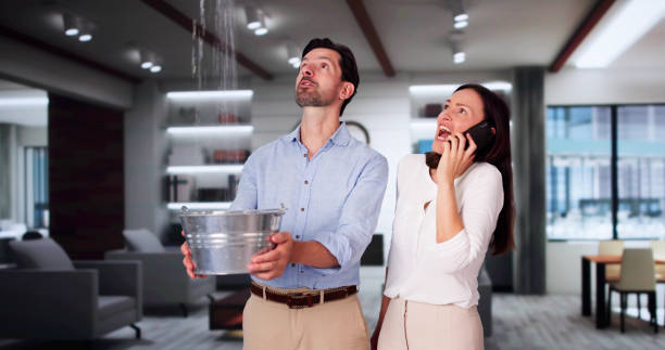 Best Residential water damage restoration  in Howard, WI